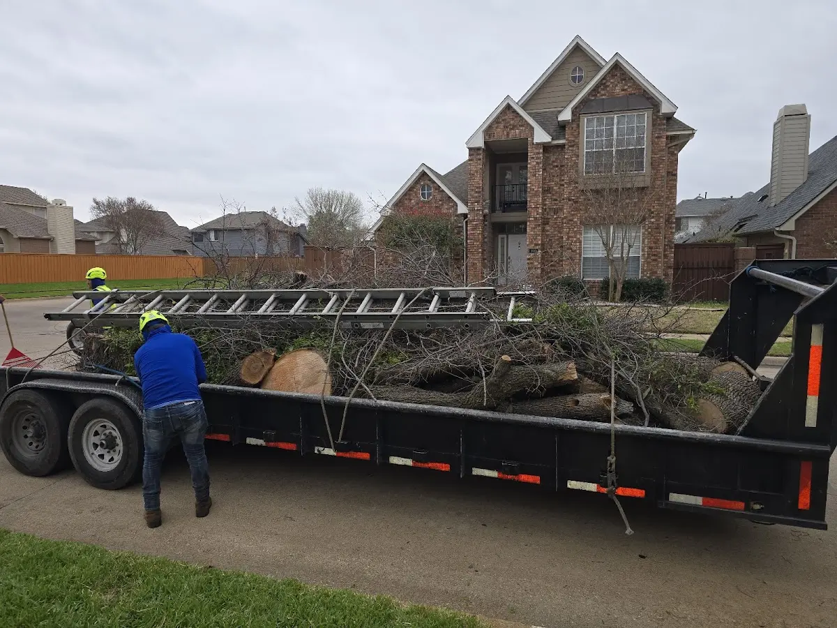 Expert Crown Reduction with proper safety equipment in Deerwood